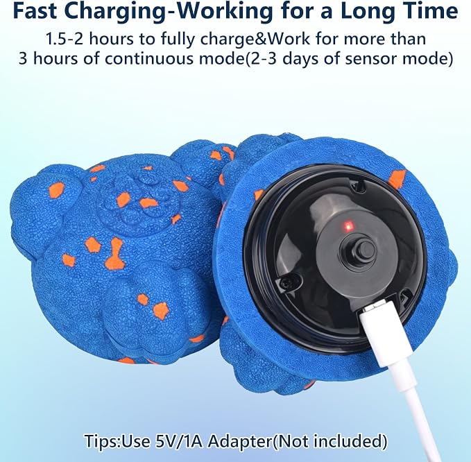 Dog Toy Ball, Blue