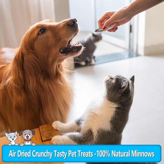 Minnows Dog Treats, Single Ingredient Dried Minnows for Dogs & Cats, Air Dried, Grain-Free, High-Protein, 100% Natural Premium Cat & Dog Treats 4.5 oz