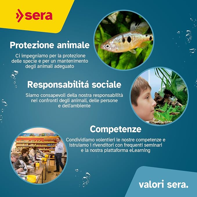 Sera Koi Professional Color Spring & Fall 500 g | Easily digestible koi Fish Food for Ponds | Premium Floating pellets with Vitamin C & Omega acids | Seasonal Fish Food for Freshwater Ponds