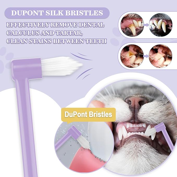Cat Toothbrush Complete Kitty Dental Care Kit + 6% nHA Pet Dual-Enzymatic Toothpaste