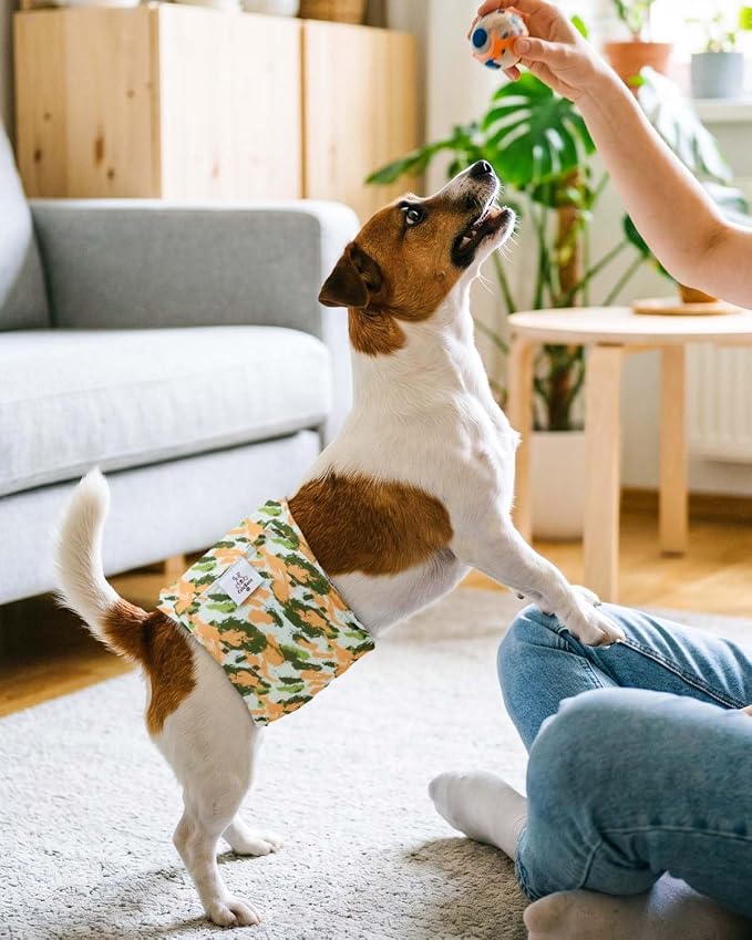 CuteBone Dog Diapers Male 4 Pack Puppy Wraps Reusable Doggie Belly Bands for Male Dogs Small Medium Large