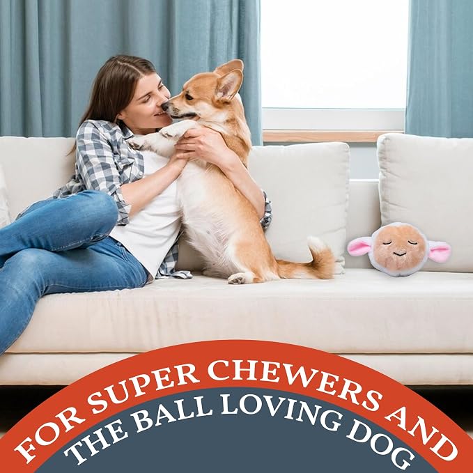 Flourish Pets 2 in 1 Multi-Layer Chew Toy for Active Dogs | Non-Toxic BPA Free Double Stitched Soft Fabric Exterior Dog Toys | Long-Lasting Dog Plush Toys β Lamb 3.5"