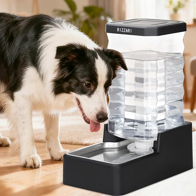 RIZZARI 10L Filtered Dog Water Dispenser, Gravity Automatic Pet Water Bowl with Replaceable Filter, Large Capacity Waterer for Large Dogs, Multiple Pets & Indoor Daily Hydration