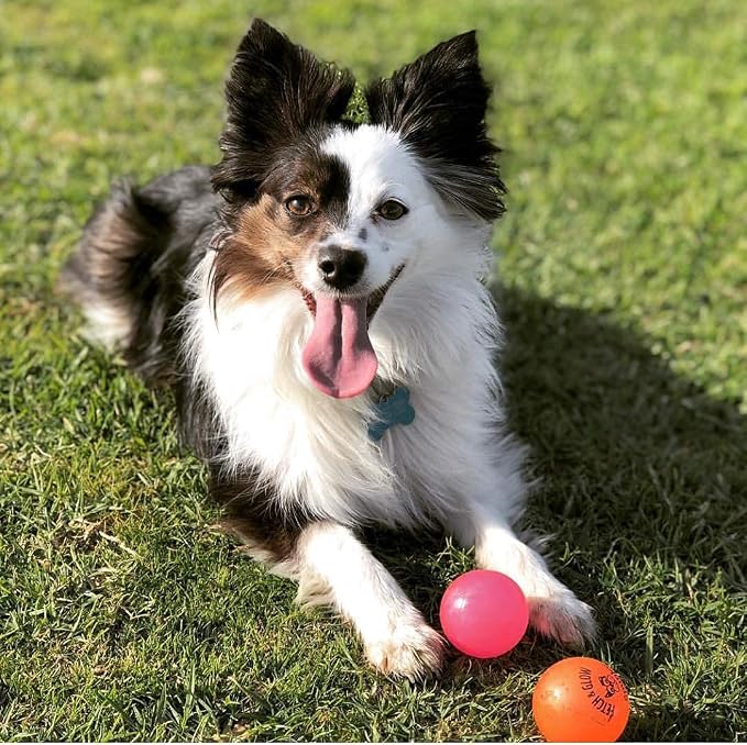 Spunky pup 6 Pack of Fetch & Glow Dog Toy Balls, Small 1.75 Inch, Assorted Colors