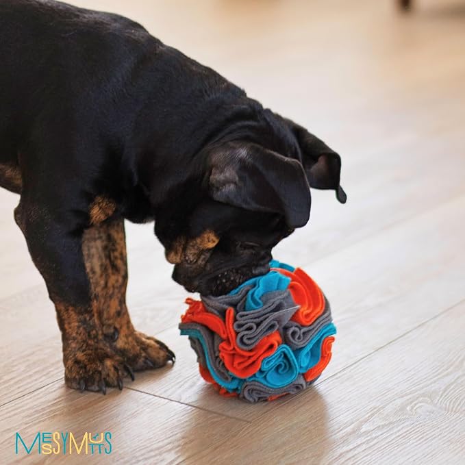 Messy Mutts Round Forage Ball | 6” x 6” Snuffle Ball Puzzle for Dogs | Stimulating Sniffing Interactive Puzzle for Dogs