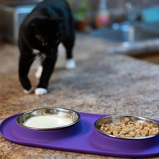 Messy Cats Double Silicone Feeder with Stainless Saucer Shaped Bowl | Anti-Slip Non-Skid Cat Food Bowls | Two Cat Bowls in Feeding/Water Station | 1.75 Cups per Bowl (Marble)