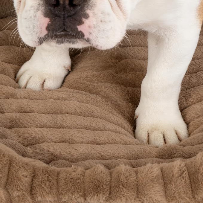 Orthopedic Dog Bed,Hip Joint Support Large Dog Crate Pad for Senior | 35L x 27W x 5.5H, Egg-Crate Memory Foam, Washable Cover, Low Front Entry, Non-Slip Bottom, Large Sized Dog, Brown