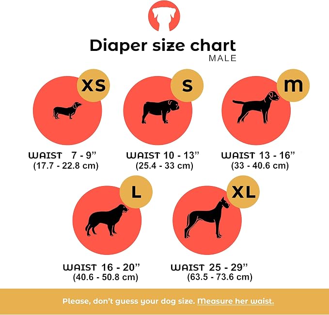 PETTING IS CARING Male Dog Wraps Washable & Reusable Belly Band Diapers Materials Durable Machine Washable Doggie Pee Puppy Pads Diaper Trainer Potty - 3 Pack Set