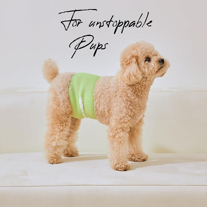 WICKEDPUP Male Dog Belly Band Kit, 50 Diaper Pads & 1 Reusable Male Wrap (Size 1 (14"-17.5" Waist))