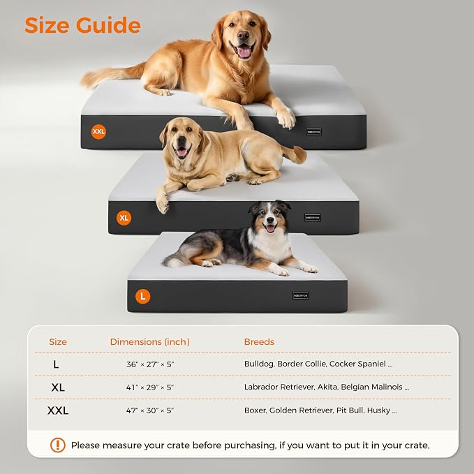 5 Inch Thick Orthopedic Dog Bed for Medium & Large Dogs, High Density Egg Crate Memory Foam with Support Foam, Waterproof Liner & TPU, Removable Washable Cover, Nonskid Bottom, 36"x27"x5", Grey