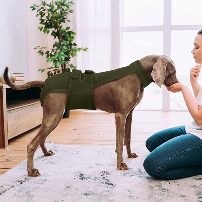Dog Diapers Female Reusable Washable Period Diaper with Suspender,Adjustable Dog Panties Anti-Harassment, Doggie Diapers for Incontinence, Heat Cycles, or Senior Dogs(XS-XL