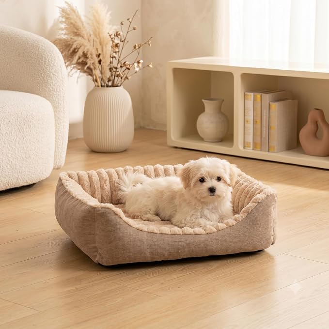 Avont Supportive Dog Bed for Small Medium Dogs, Plush Foam Fill, Camel | Removable Machine Washable Cover, Low 5.12" Entry for Pups & Seniors, 7:3 Foam-PP, Non-slip Bottom, Hidden Chew-proof Zippers