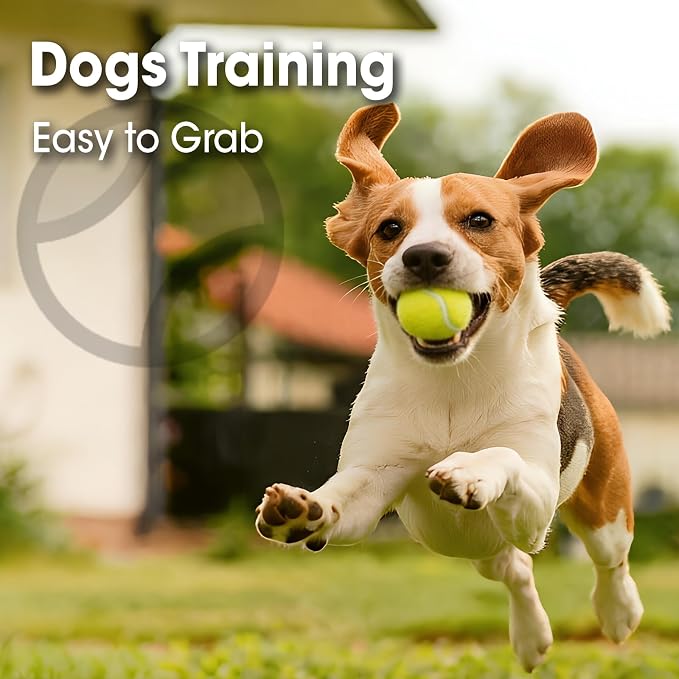 AZEN 10/40 Pack Tennis Balls, Premium pressurized Tennis Balls Bulk for Dogs, Good for Beginners to Practice