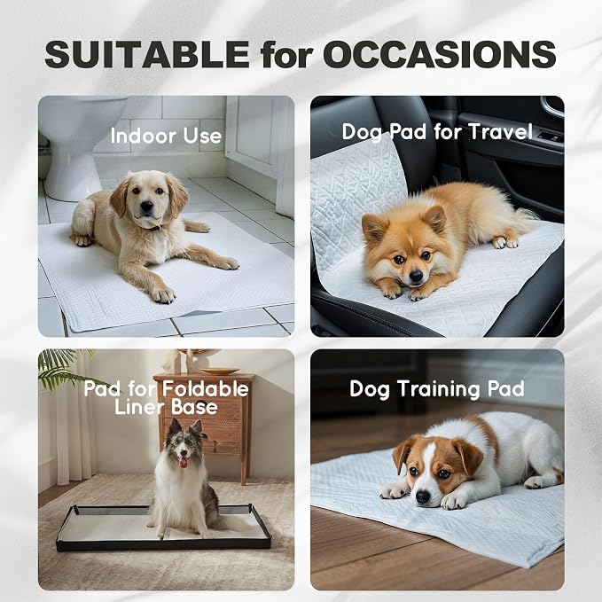 HQ4US 4LEGS Dog Pee Pads, Thick/Ultra Absorbent Puppy Dog Training Pads, Small Size 23.6" x 17.7",Odor Eliminating Gel, Deodorizing Factors, with Pet Inducer (50 Count)