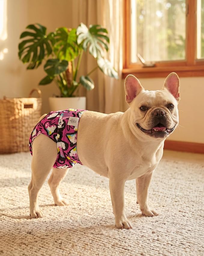 CuteBone Washable Female Dog Diapers 4 Pack Reusable Doggie Heat Diapers for Period FMG12XS