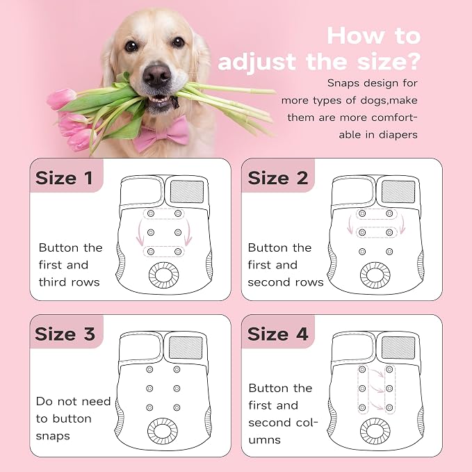 Paw Legend Washable Reusable Female Dog Period Diapers for Heat Doggie Puppy Diapers for Female Dogs (3 Pack, Medium)