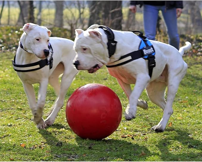 Jolly Pets Push-n-Play Ball Dog Toy, 4.5 Inches/Small, Red