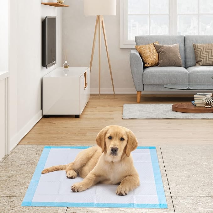 PETSITE Dog Pee Pads 30"x30"-150 Count, Dog and Puppy Potty Training Pads Super Absorbent & Leak-Proof, XL Disposable Pet Piddle Pad and Potty Pads for Dogs, Puppies, Doggie