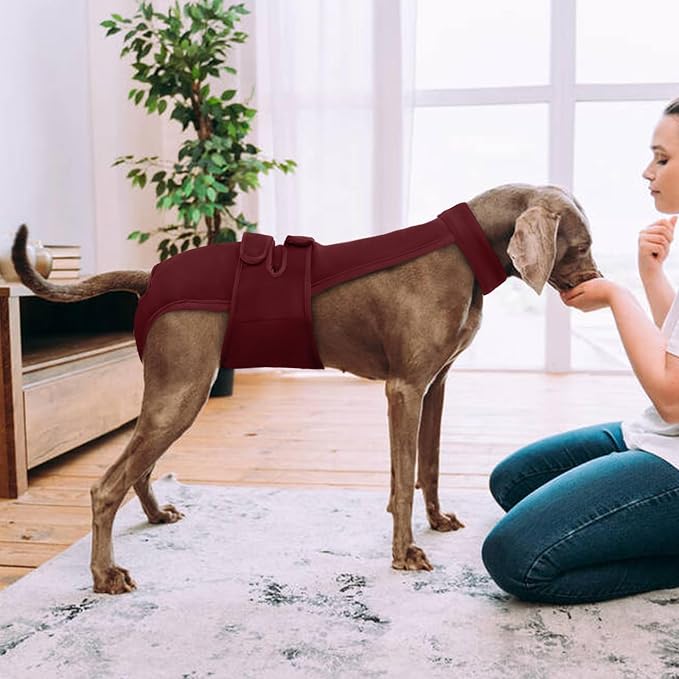 Dog Diapers Female Reusable Washable Period Diaper with Suspender,Adjustable Dog Panties Anti-Harassment, Doggie Diapers for Incontinence, Heat Cycles, or Senior Dogs(XS-XL