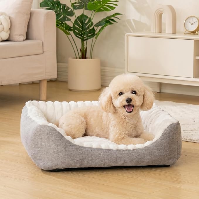 Avont Supportive Dog Bed for Small Dogs & Cats, Plush Foam Fill, Cream | Removable Machine Washable Cover, Low 5.12" Entry for Pups & Seniors, 7:3 Foam-PP, Non-slip Bottom, Hidden Chew-proof Zippers