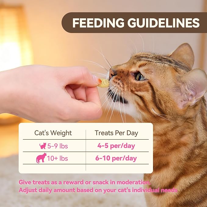 Catnip Cat Treats, Chicken & Salmon Flavor Crunchy Cat Biscuits, Fish-Shaped Training Snacks for Adult Cats, 8 oz