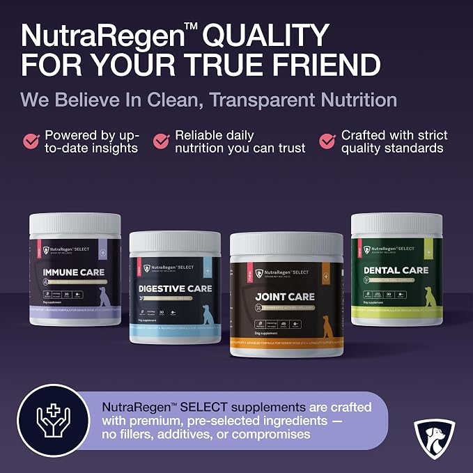 NutraRegen Dog Digestive and Immune Support Bundle | Mushroom & Probiotic Powder Supplements to Support Daily Wellness, Comfort, and Gut Balance, 7 Bn CFU | 60 Scoops, 4.0 oz