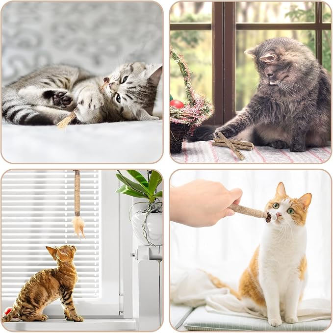 Bissap 10 PCS Silvervine Chew Sticks for Cats, Catnip Chew Sticks Cat Toys for Indoor Cat Kitten Teeth Grinding Interactive Feather Toys for Aggressive Chewers Dental Care