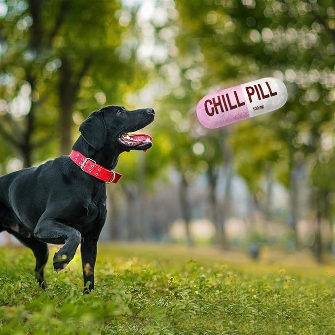Wanheart Funny Chill Pill Dog Toy, Squeaky Plush Capsule for Teething Puppies & Cats, Interactive Chew Gift with Bite-Resistant Design, Pet Lover Present, Training Supply & Photo Prop(Pink)