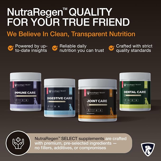 NutraRegen Dog Joint Supplement 45 Scoops | Natural Glucosamine Chondroitin for Dogs with Collagen | Hip and Joint Powder | 7.7 Oz