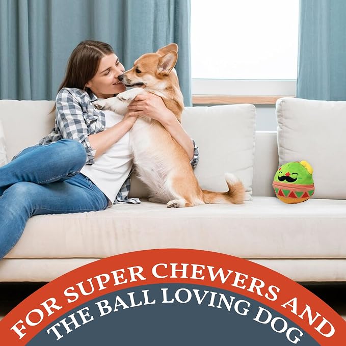 Flourish Pets 2 in 1 Multi-Layer Chew Toy for Active Dogs | Non-Toxic BPA Free Double Stitched Soft Fabric Exterior Dog Toys | Long-Lasting Dog Plush Toys β Mr. Guac 3.5"