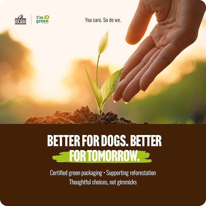 Natural Farm Odor-Free Curly Bully Sticks, (5-6 Inch, 5 Pack), Fully Digestible, 100% Beef Pizzle Chews, More Engagement & Fun, Grass-Fed, Non-GMO, Fully Digestible - Best for Small & Medium Chewers