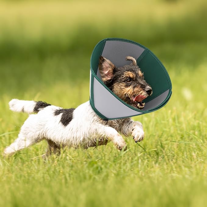Queenmore Dog Cones for Large Dogs, Cone for Dogs to Stop Licking After Surgery, Adjustable Waterproof Dog Cone Collar Alternative, Comfortable Pet Recovery E-Collar (Dark Green,L)