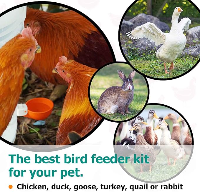 Large Automatic Chicken Waterer Cups, Chicken Water Feeder Suitable for Chicks, Duck, Goose, Turkey and Bunny, DIY Poultry Water Feeder Kit (8 Pack-Green)