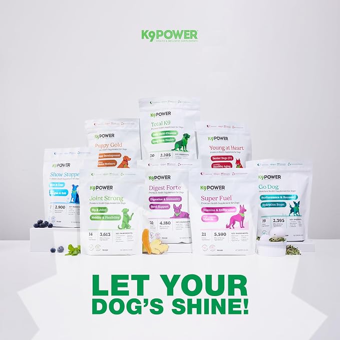 K9Power Total K9 – 11-in-1 Dog Multivitamin Powder – Daily Whole-Body Support for Digestion, Skin, Joints, Heart, Brain, Immunity & Energy – Turmeric, Ginger, Probiotics, Antioxidants, Omegas