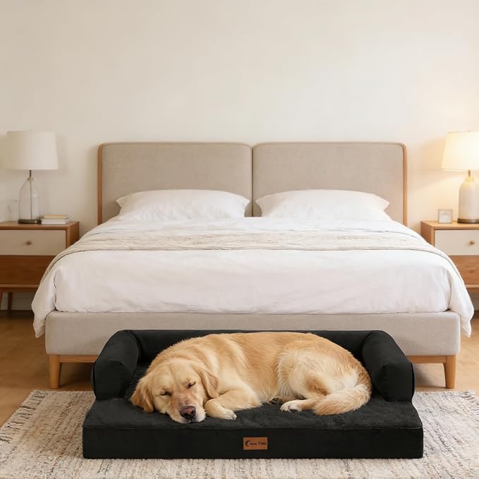 Orthopedic Dog Beds for Large Medium Sized Dogs, Waterproof Egg Crate Foam Large Dog Couch Beds with Comfy Bolster 36x27Inch, Washable Pet Beds with Removable Cover, Black