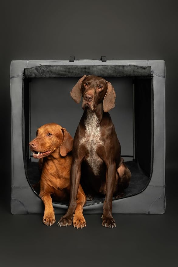 Noah & Paw Collapsible Dog Crate 30 Inches, Large Dog Crate for Large Medium Breeds, Travel Kennel for Car, Including Pet Mat for Pet Cage, 2 Storage Pockets, Handbag, 10mm Locking Zipper 30*21*21