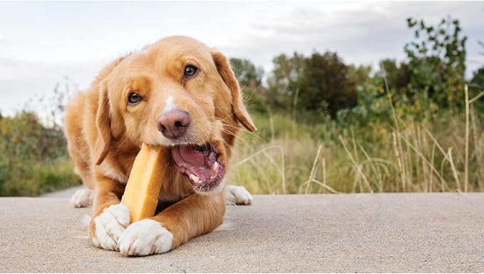 peaksNpaws All Natural Premium Yak Cheese Chews, Medium, 3 Chews, 7.5 oz