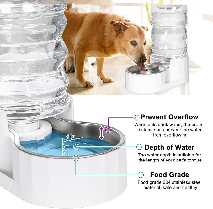 RIZZARI 6.5L Stainless Steel Pet Water Dispenser – Gravity Auto-Refill Waterer with Ion Exchange & Activated Carbon for Cats & Small Dogs, Spill-Resistant for Homes & Indoor Pet Spaces