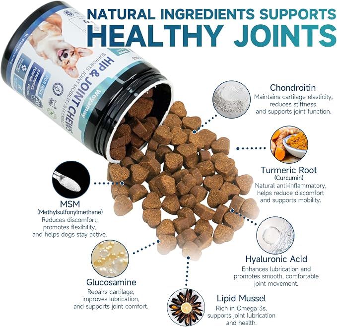 Woyamay Dog Joint Support & No Chew Spray Bundle - 200 Glucosamine Chews with Chondroitin, MSM & Turmeric + Bitter Apple Spray for Chewing, Licking & Training - Mobility & Behavior Solution