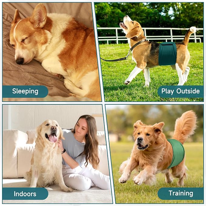 5 Pack Dog Diapers Male, High Absorbing Dog Wraps, Belly Bands for Male Dogs with Incontinence or Frequent Urination, Washable Doggie Diapers Green S