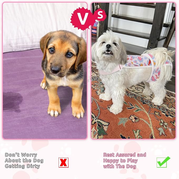 ASENKU 2 Pack Female Dog Diapers with Suspenders, Reusable Washable Puppy Panties for Small Dogs, Leak-Proof Pet Underwear for Heat Cycle & Period