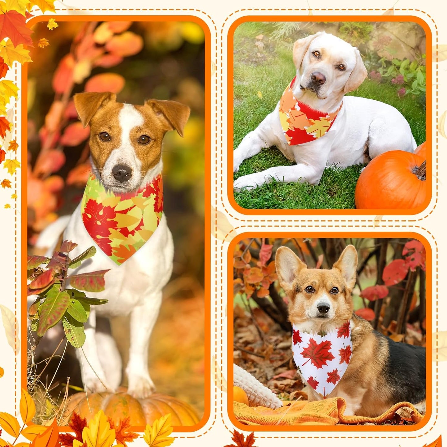 Abbylike 50 Pcs Fall Thanksgiving Dog Bandanas Bulk Maple Leaves Bandanas for Dogs Triangle Kerchief Bib Scarf for Pets Autumn Costume Photo Props Accessories Pet Shops, 25 Styles (31.5 x 21.7 x 21.7)
