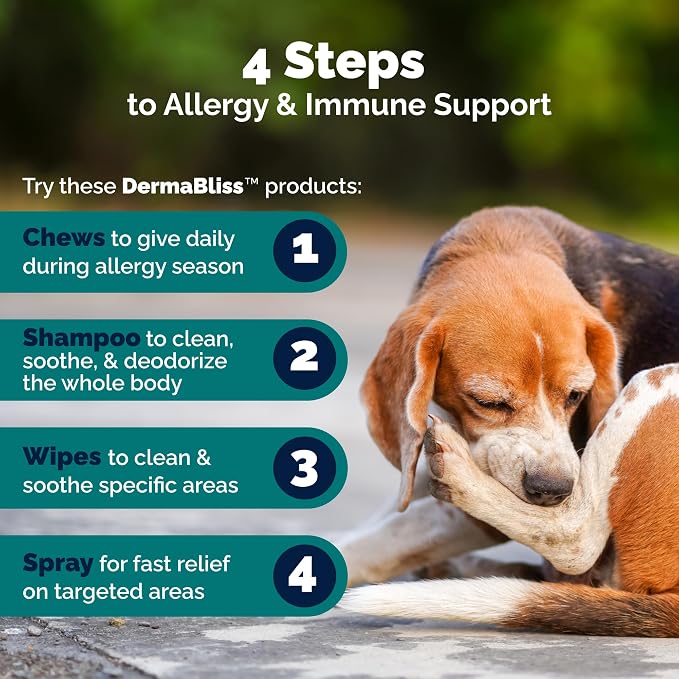 Vetnique Dermabliss Dog Allergy Chews Advanced Strength for Itch & Skin Relief, Anti-Itch Supplement with Aller-Biotic Pro, Quercetin, Wellmune & Omega 3 (60ct, Advanced Strength Chews)