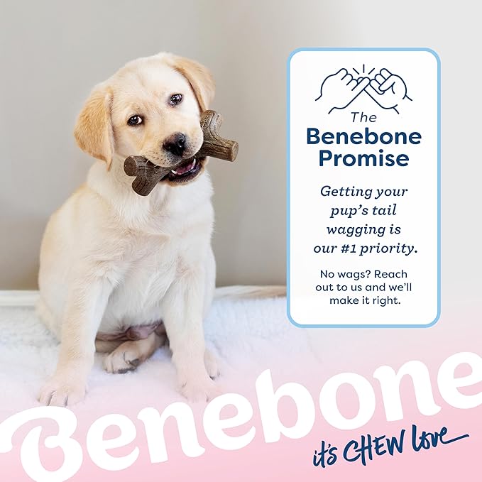 Benebone Puppy 4-Pack Durable Dog Chew Toys for Gentle Chewers, Real Bacon/Jack Salmon/Maplewood, Made in USA, Small
