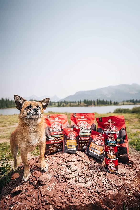 Stella & Chewy's Wild Red Dry Dog Food Raw Blend High Protein Grain & Legume Free Red Meat Recipe, 3.5 lb. Bag (Pack of 3)