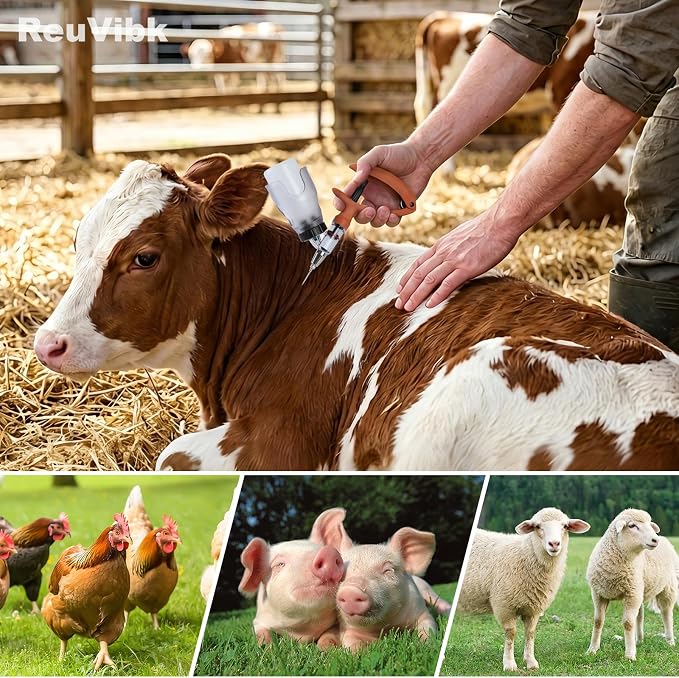 5ML Livestock Syringe, Automatic Self Refill Syringes Continuous Repeating Adjustable Bottle Attachment Livestock Animal Injection Gun with 10 Needles, for Chicken, Duck, Pig, Sheep, Cow Poultry