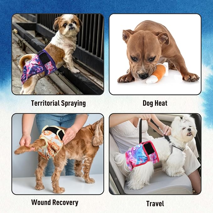 Female Dogs Diapers Belly Bands, Washable Reusable Female Doggy Wraps Panties for Doggie Puppy Pooping Potty Training Heat Incontinence Marking Pañal para Perro Medium