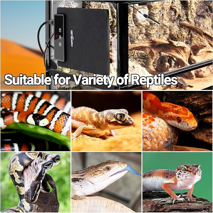 REPTI ZOO Reptile Heat Pad 6"x 8", 11W Reptile Heat mat with Adjustable Thermostat for Turtles, Hermit Crabs, Bearded Dragons, Leopard Geckos, Snakes, Lizards