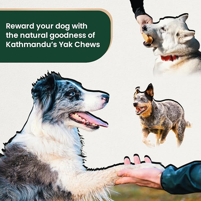 Authentic Himalayan Yak Cheese for Dogs - Small/Medium (Pack of 4) - Sourced from Pristine Himalayan Foothill, Rawhide-Free, NO preservatives