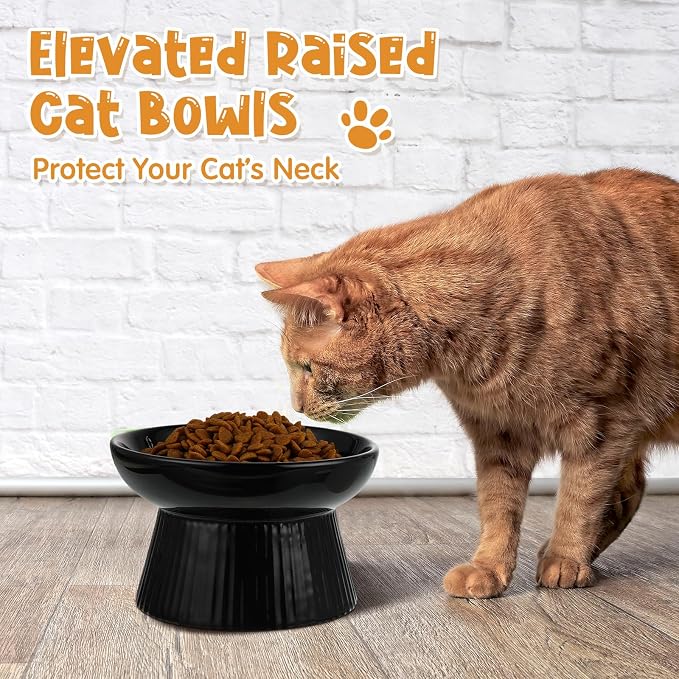 Tioncy 2 Pcs Raised Cat Slow Feeder Bowl Ceramic Elevated Cat Dog Food Bowl No Spill High Edge for Dry Wet Food and Water Easy to Clean, Dishwasher Safe (Dark Green,Black)